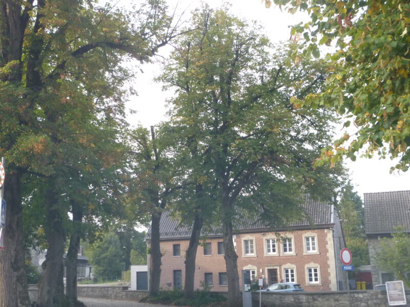 26-09-29 Gruppe vom Parkplatz aus
